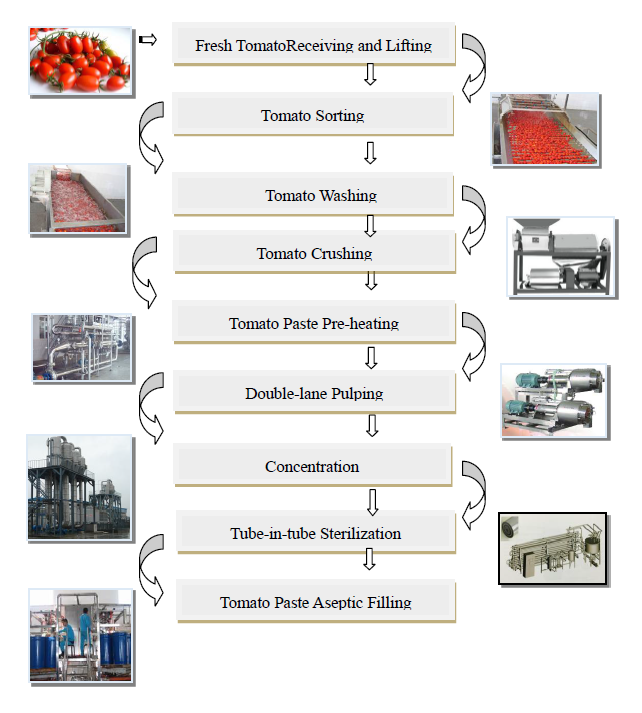 Silberne Farbtomatenkonzentrat-Verarbeitungsanlage/frische Tomatensauce, die Geräte herstellt