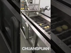 Wie wird Kokoswasser hergestellt?Sehen wir, wie die Kokosnussfabrik arbeitet