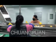 Wie wird Fruchtsaft in der Fabrik hergestellt?Sehen wir, wie die Birnensaftverarbeitungslinie funktioniert