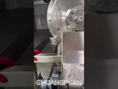 Fruchtpulpmaschine. Hochgeschwindigkeits-Pulpmaschine.