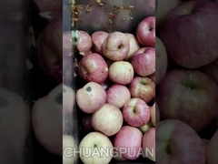 Kennst du den Apfelsaft? Mal sehen, wie die Apfelsaft-Produktionslinie funktioniert.