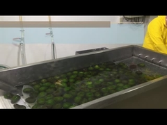 Wie verarbeitet man HPP oder abkühlende Avocado-Pulp?