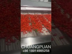 Wissen Sie, wie Seetornsaft hergestellt wird?